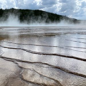 Meet your Posher, Miles